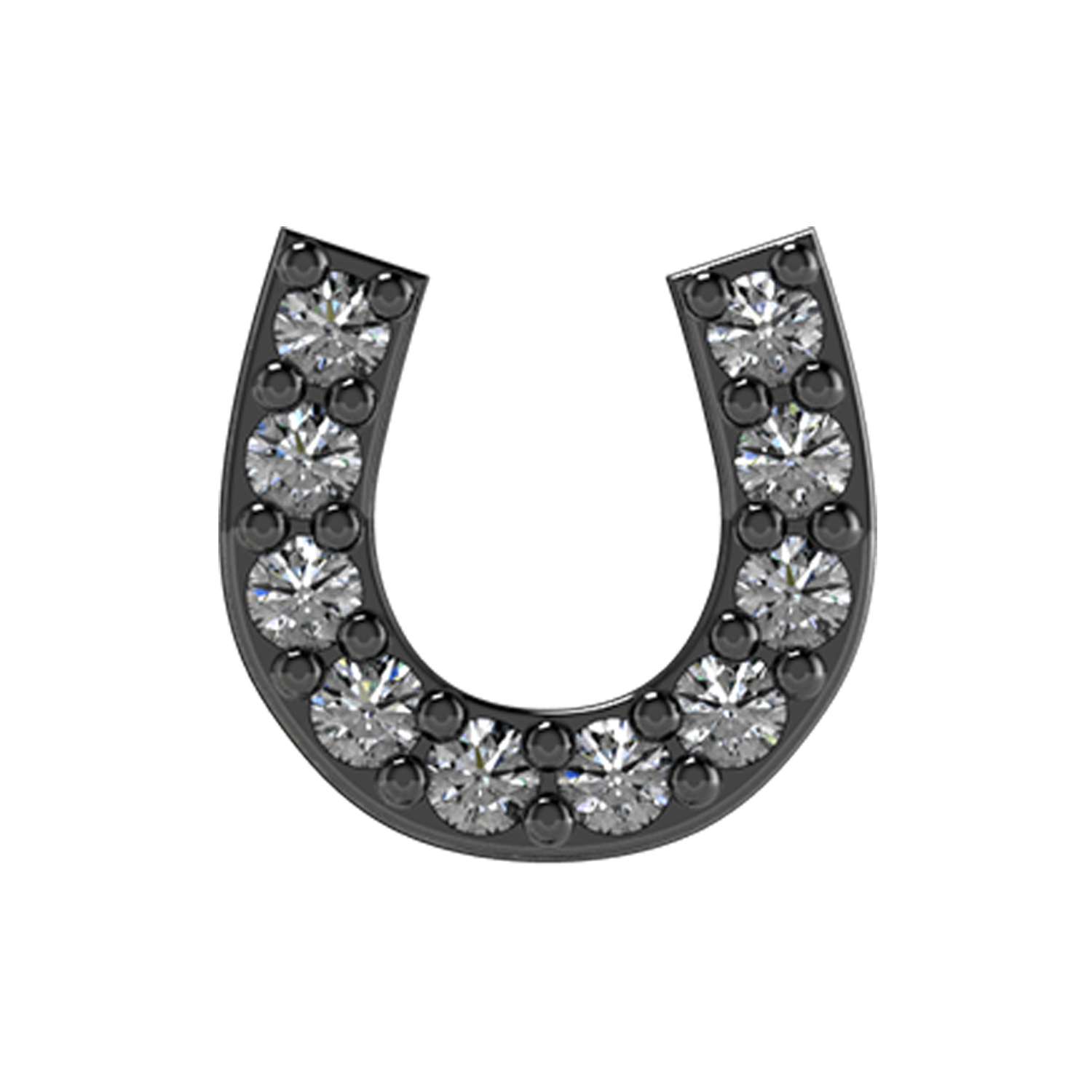 Slider Horseshoe Charm