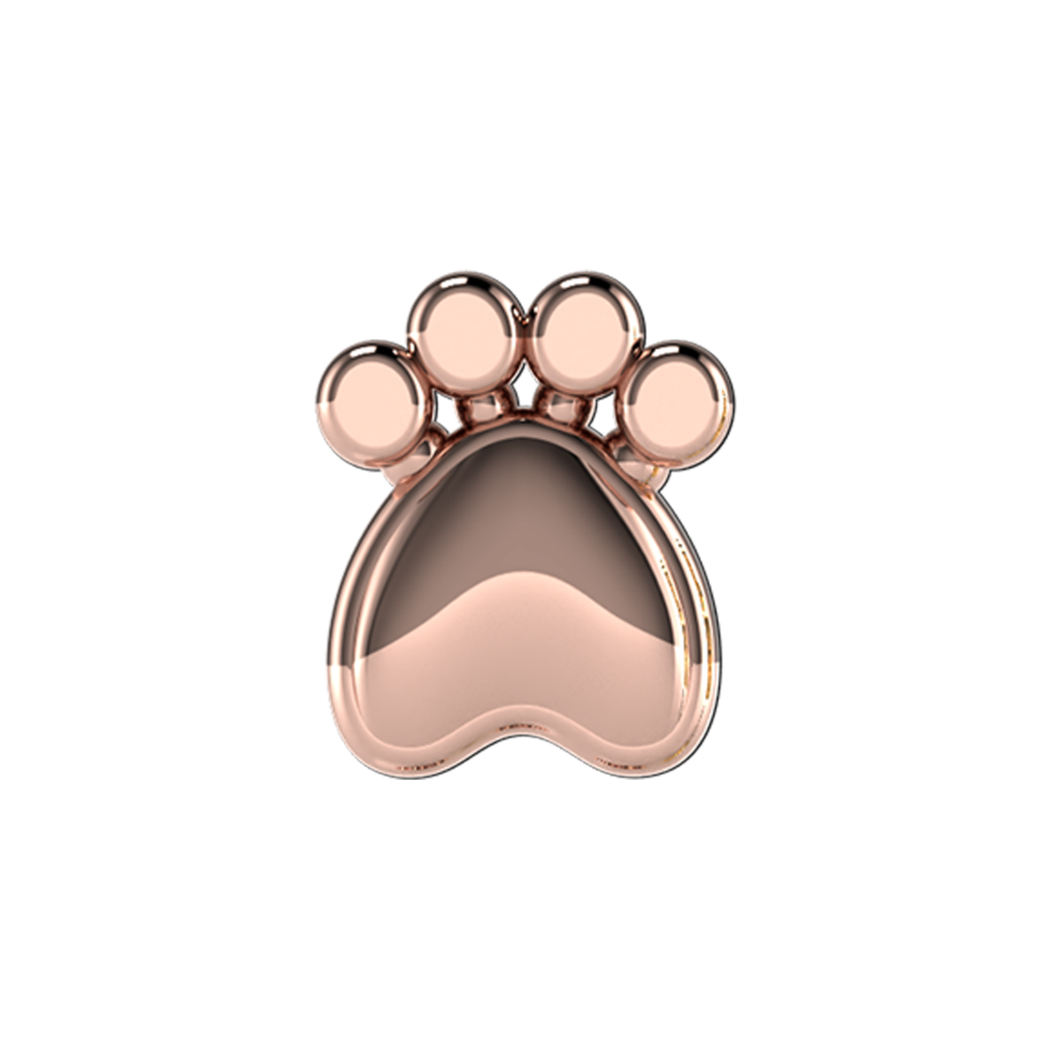 Slider Solid Dog Paw Charm