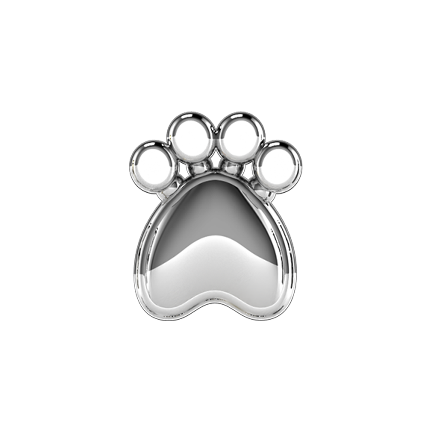 Slider Solid Dog Paw Charm