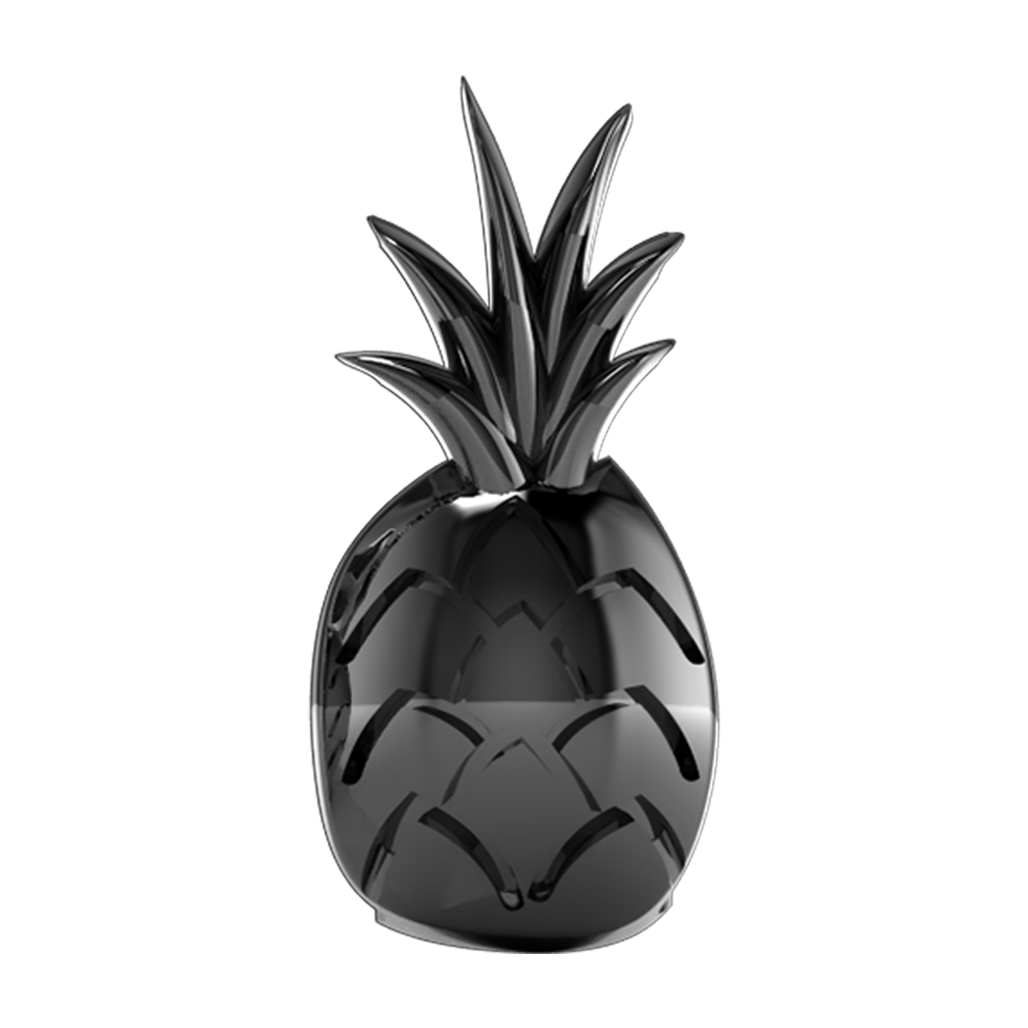 Slider Pineapple Charm