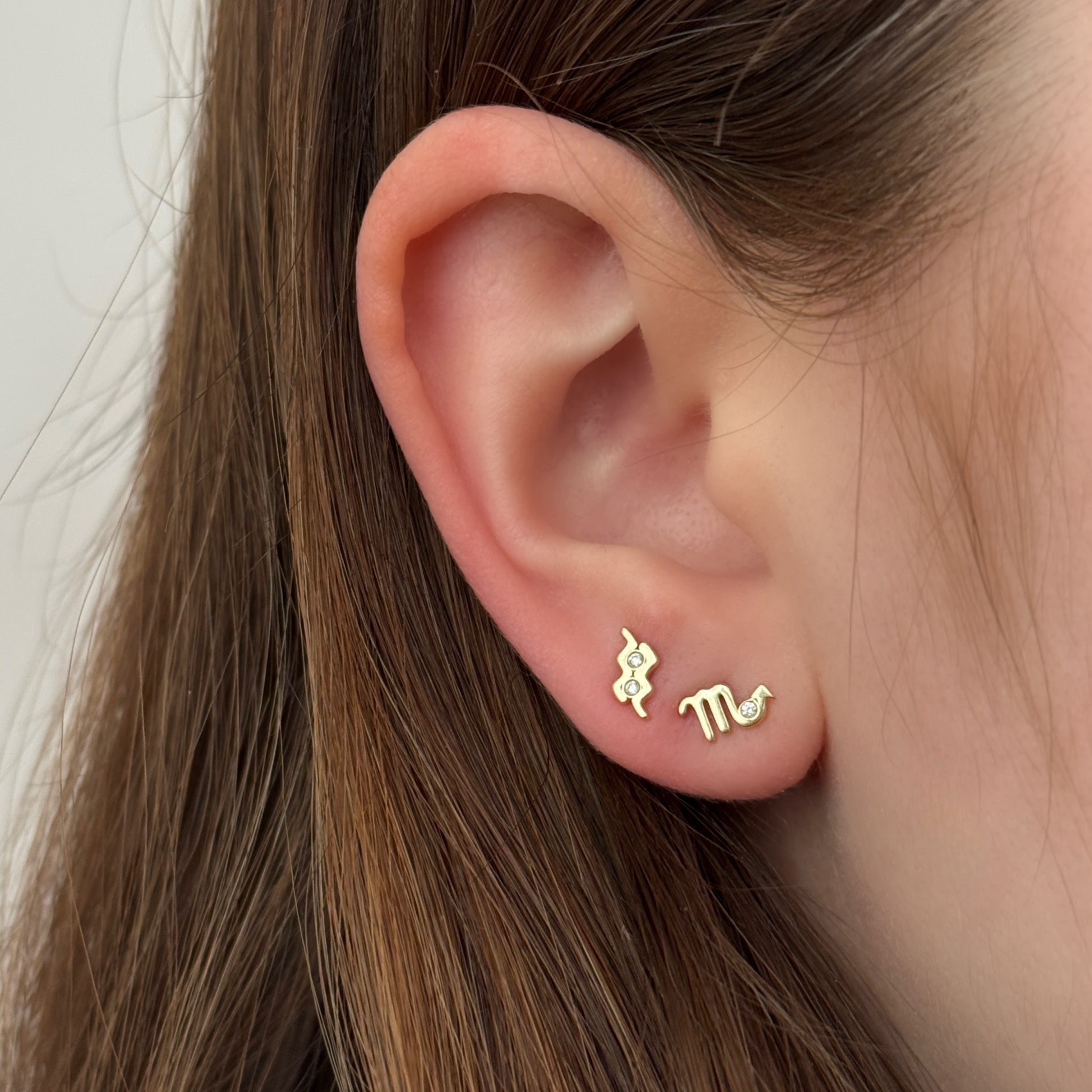 Small Zodiac Stud Earring