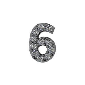 Slider Pave Number 6 Charm