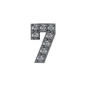 Slider Number 7 Charm