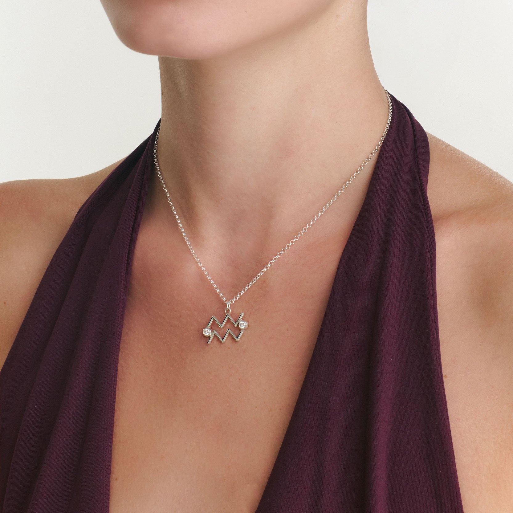Give Me a Sign Zodiac Necklace- Silver