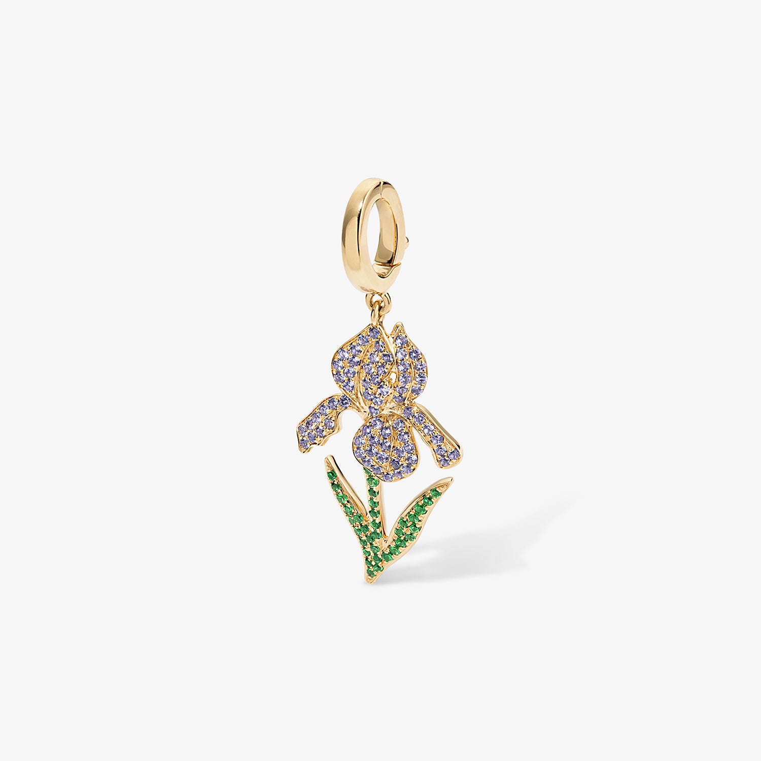 Large Token Iris Birth Flower Charm