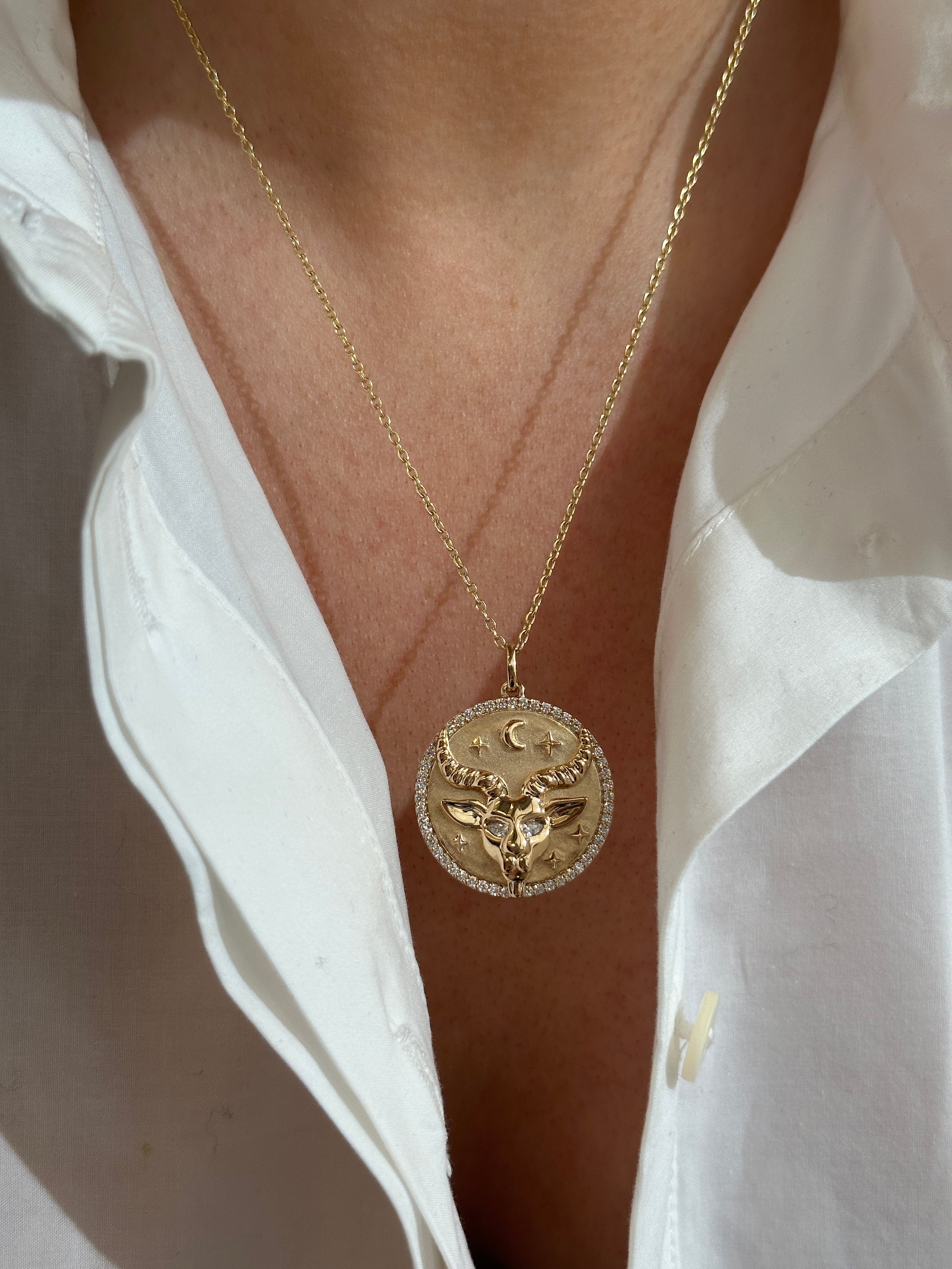 Capricorn Token Zodiac Necklace