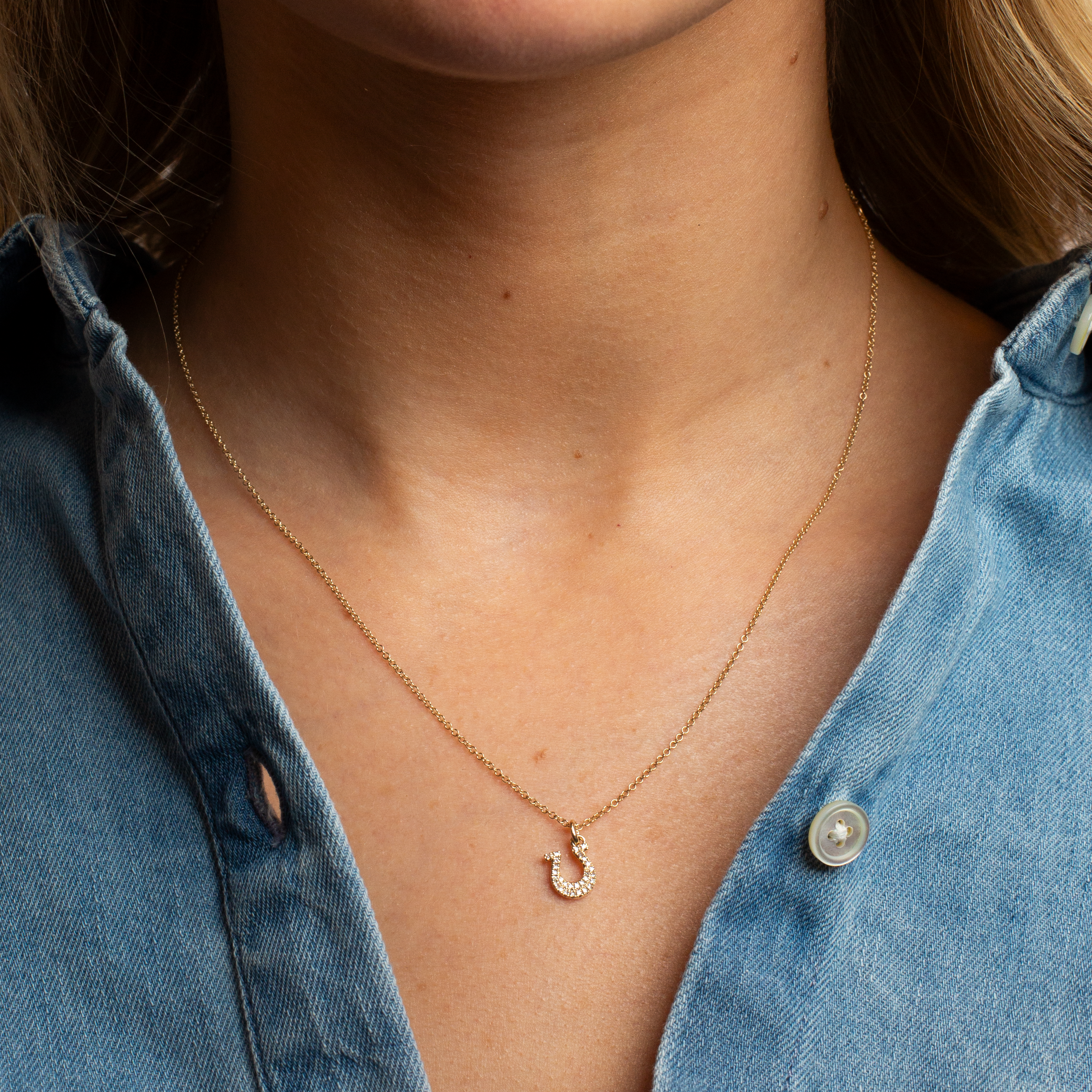 Mini Token Pave Horseshoe Necklace