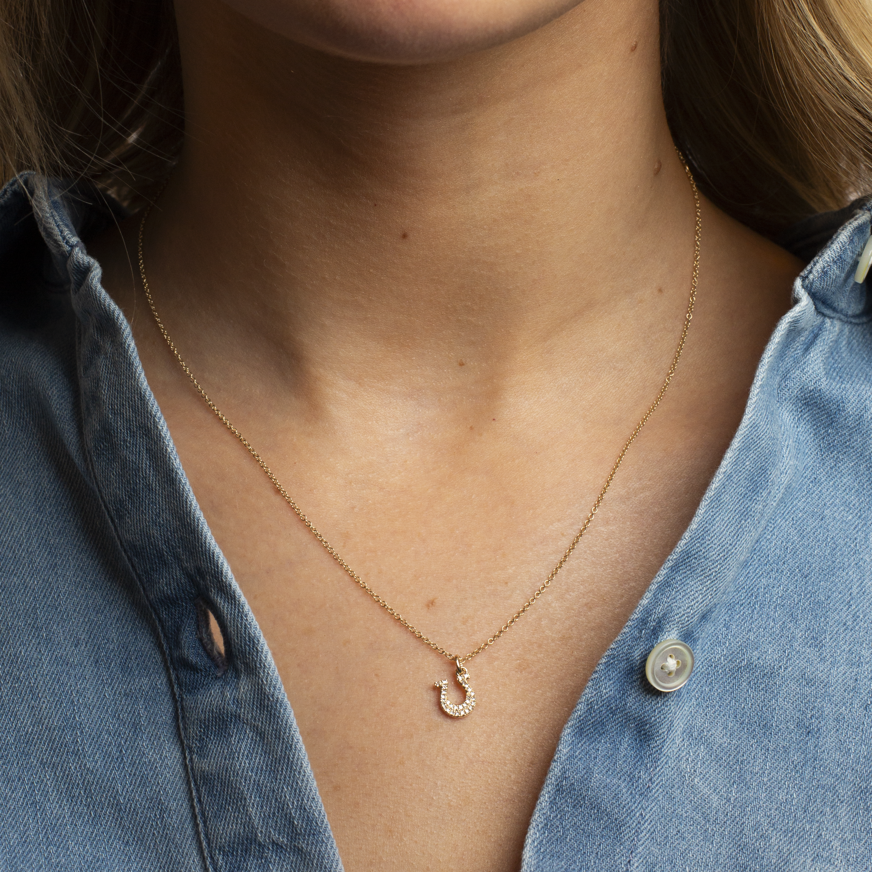 Mini Token Pave Horseshoe Necklace