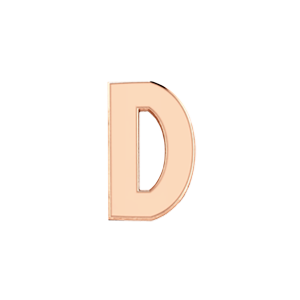 Slider Solid Letter D Charm