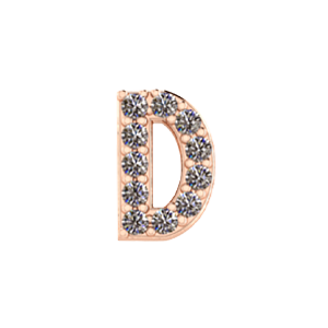 Slider Pave Letter D Charm