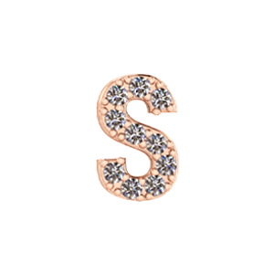 Slider Pave Letter S Charm