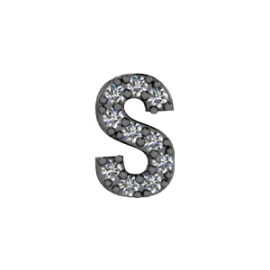 Slider Pave Letter S Charm