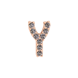 Slider Pave Letter Y Charm