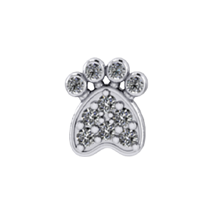 Slider Dog Paw Charm