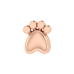 Slider Solid Dog Paw Charm