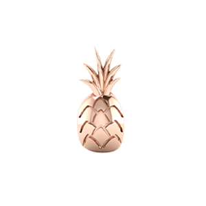 Slider Pineapple Charm