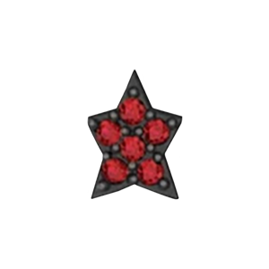 Slider Star Charm