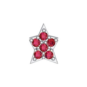 Slider Star Charm