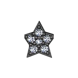 Slider Star Charm