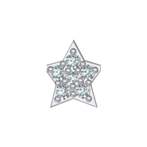 Slider Star Charm